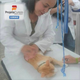 curso para auxiliar de veterinária valores Parque Munhos
