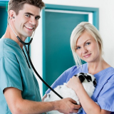 preço de curso auxiliar de veterinário IVOTURUCAIA