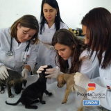 preço de curso de auxiliar de pet shop Vila Popular